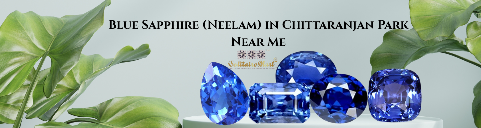 Blue Sapphire (Neelam) in Chittaranjan Park Near Me
